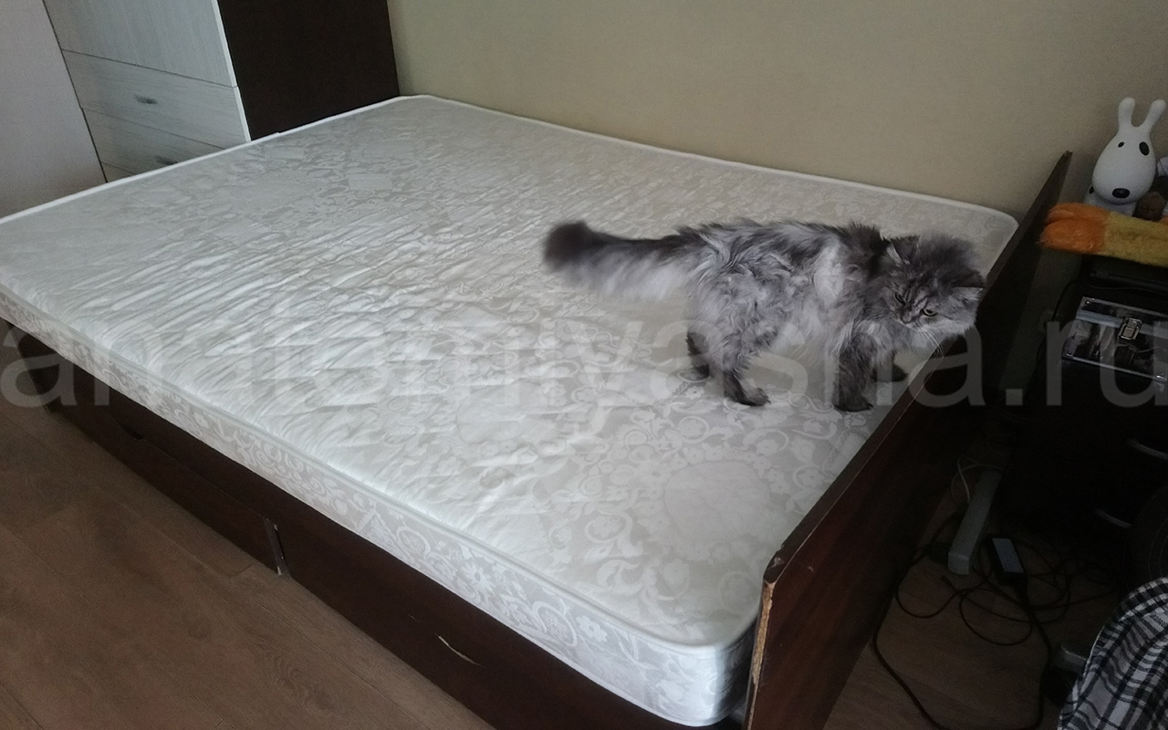 отзыв о Матрас Everest Ноу спринг Рестролл Эко